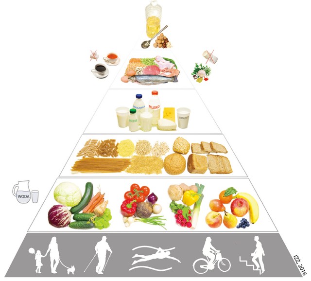 Znalezione obrazy dla zapytania piramida żywności 2018